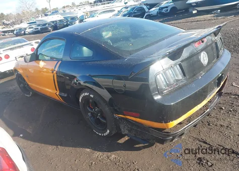 2007 Ford Mustang V6 Deluxe/V6 Premium from USA, damaged, VIN 1ZVHT80N875224194